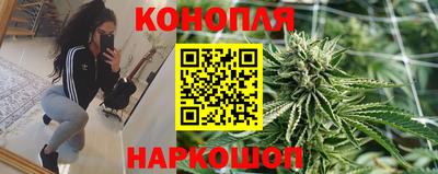 гидропоника Кимры