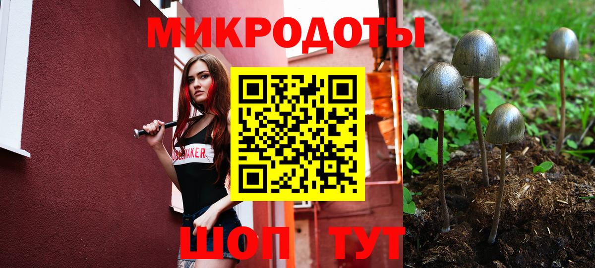 Волоколамск  Псилоцибиновые грибы мухоморы  Галлюциногенные грибы Cubensis  Вход с VPN 